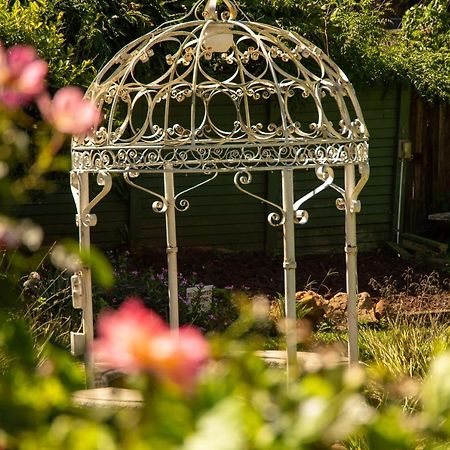 Lincoln Cottages Bnb & Self-Catering Pietermaritzburg Kültér fotó